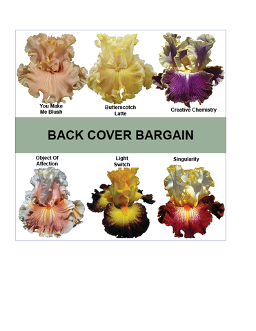 Back Cover Bargain