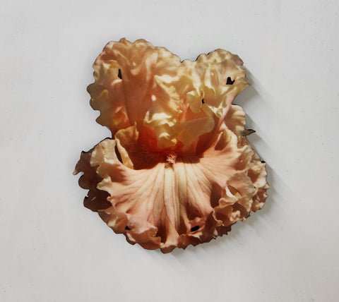 She's A Peach Magnet