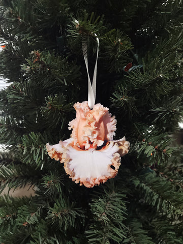 Picture Day Ornament