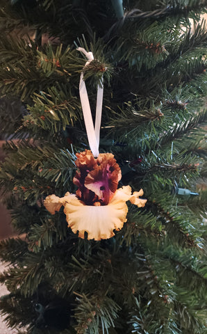 Conflict of Interest Ornament