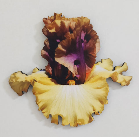 Conflict of Interest Magnet