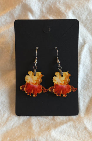 Iris Earrings "Bottle Rocket"