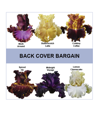 Back Cover Bargain