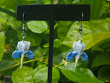 Petal Drops Blue