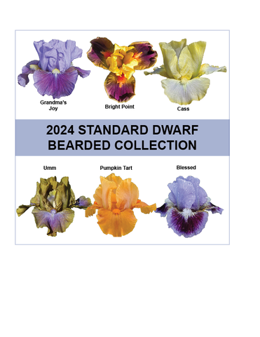 2024 Standard Dwarf Bearded Collection