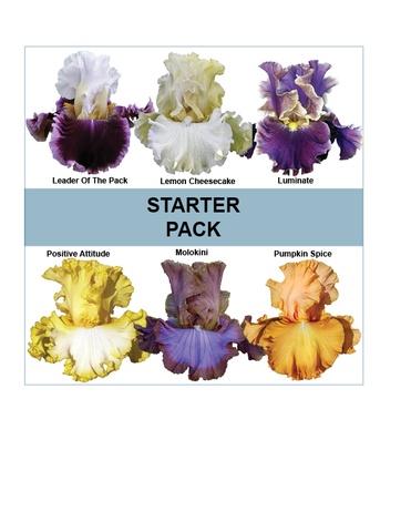 2026 Tall Bearded Starter Pack