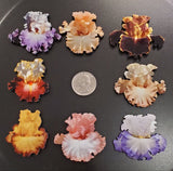 Mini Magnet collection of 8